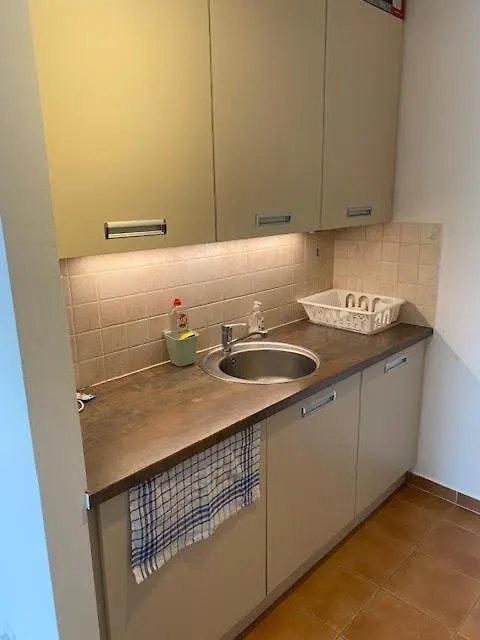 Roland Apartment Downtown - Garay Βουδαπέστη